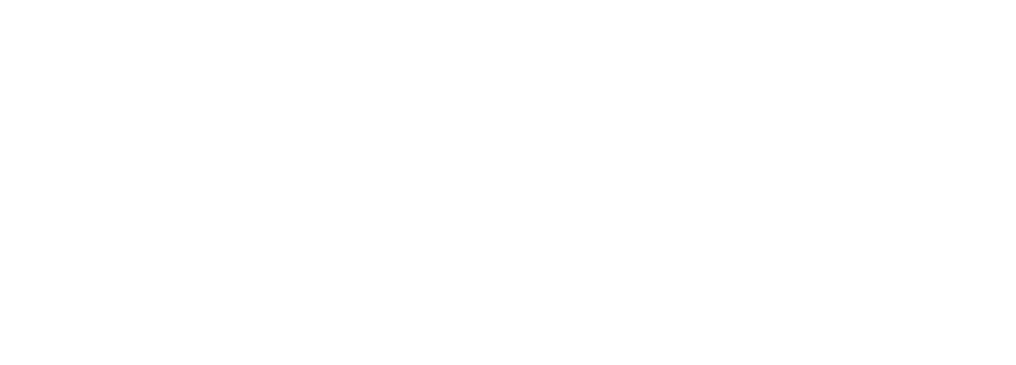 FlexSure logo